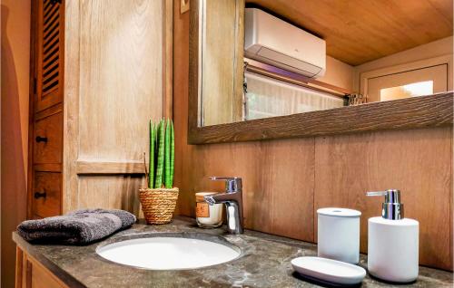 a bathroom with a sink and a mirror at Stunning Home In Meeuwen-Gruitrode in Aan ʼt Hoolven