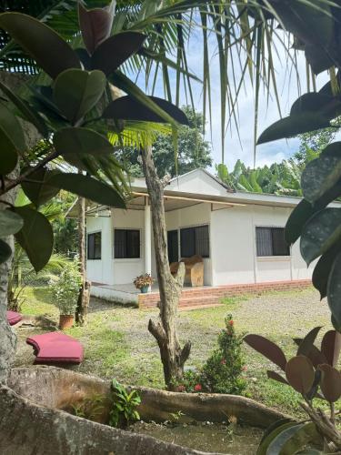 Fotografie z fotogalerie ubytování Casa Chilamate v destinaci Cahuita