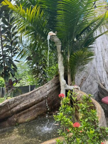 Fotografie z fotogalerie ubytování Casa Chilamate v destinaci Cahuita