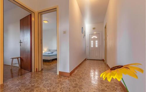 Apartment Munida