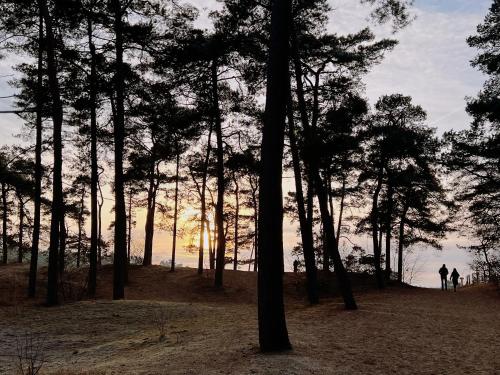 Φυσικό τοπίο κοντά σε αυτό το σαλέ
