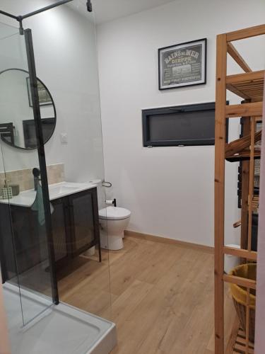 a bathroom with a toilet and a sink and a mirror at studio indépendant proche de la mer LE Bon Secours in Dieppe