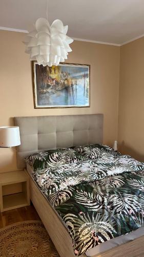 Apartament przy Parku Centralnym 2