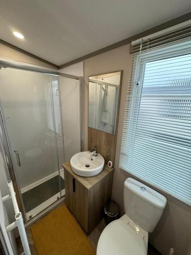 a bathroom with a toilet and a sink and a shower at Golden Palm Resort - The Stonewood - Coastal Caravan Breaks in Chapel Saint Leonards
