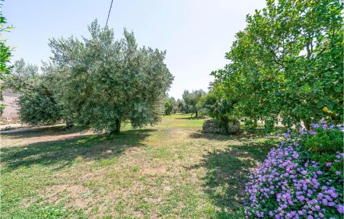a garden with two trees and purple flowers at 2 Bedroom Cozy Home In Sabaudia in Sabaudia