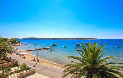 a beach with a palm tree and people in the water at Nice Apartment In Banjol in Banjol