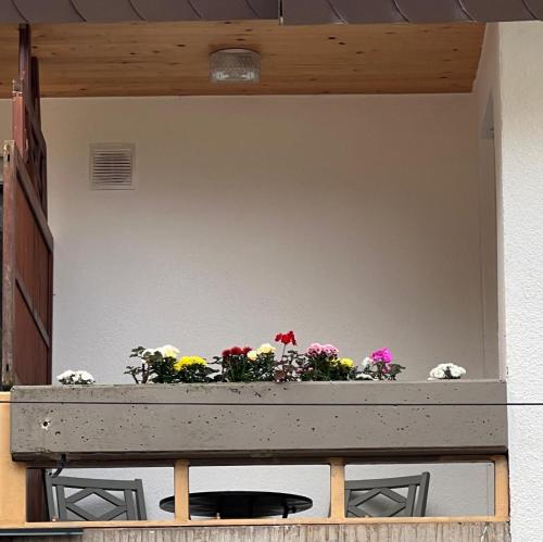a planter with flowers on top of a table at VipStay - Stilvoll und geräumige Apartments mit Terasse oder Balkon, Küche, kostenloses Parken, WLAN, Smart Tv in Wiesloch