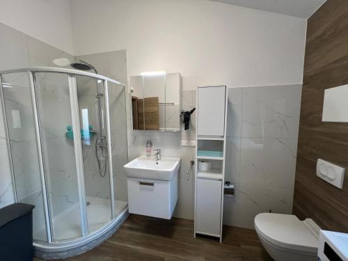 a bathroom with a shower and a sink and a toilet at VipStay - Stilvoll und geräumige Apartments mit Terasse oder Balkon, Küche, kostenloses Parken, WLAN, Smart Tv in Wiesloch