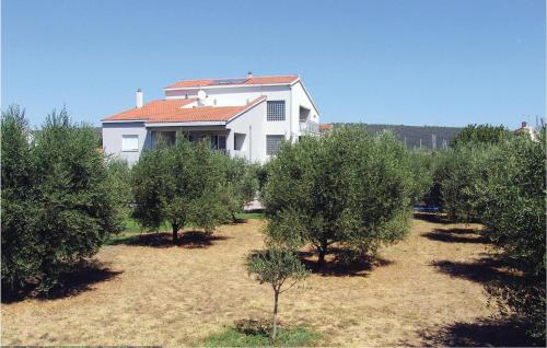 Apartment Bibinje Tezacki Put V