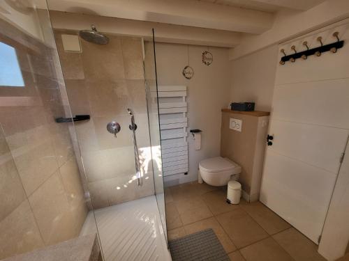 une salle de bain avec douche et toilettes dans l'établissement Appartement Sainte Maxime, à Sainte-Maxime