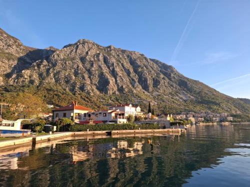 Gallery image of Villa Ivan in Risan