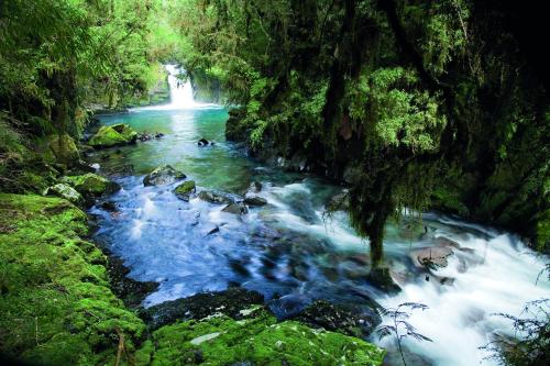 a river with a waterfall in a forest at Hotel Termas Puyehue Wellness & Spa Resort in Puyehue
