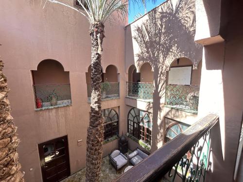 a palm tree in front of a building at Dar Nakhla - Zagora guest house in Zagora