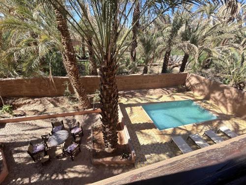 an outdoor swimming pool with chairs and a palm tree at Dar Nakhla - Zagora guest house in Zagora