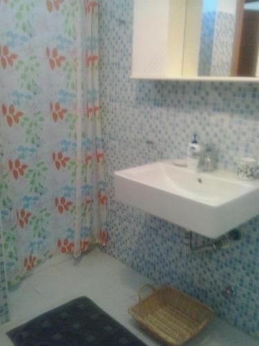 a bathroom with a sink and a shower curtain at Dragonfly B&B in Certosa di Pavia
