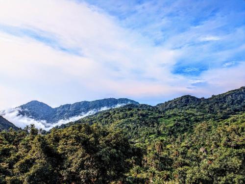 auliculiculiculiculiculiculiculiculiculiculiculiculiculiculic at Valley Nest for 6-12 PAX in Mount Ābu