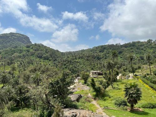 a view of a mountain with palm trees at Valley Nest for 6-12 PAX in Mount Ābu