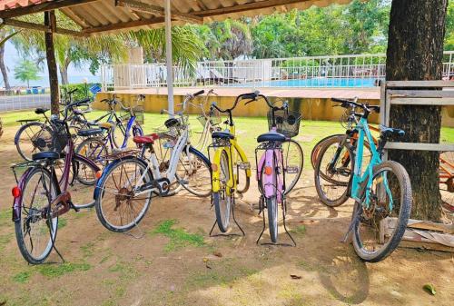 a group of bikes parked next to a tree at Pranmanee Beach Resort in Sam Roi Yot