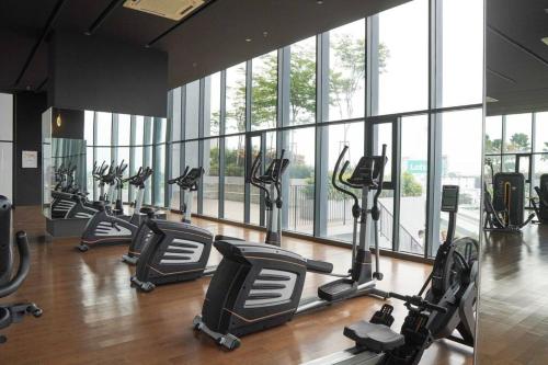 Fitness centrum a/nebo fitness zařízení v ubytování Resh's Trio