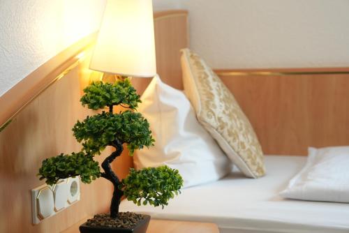 a bonsai tree sitting on a table next to a bed at UNO Hotel Posthof Saarlouis in Saarlouis