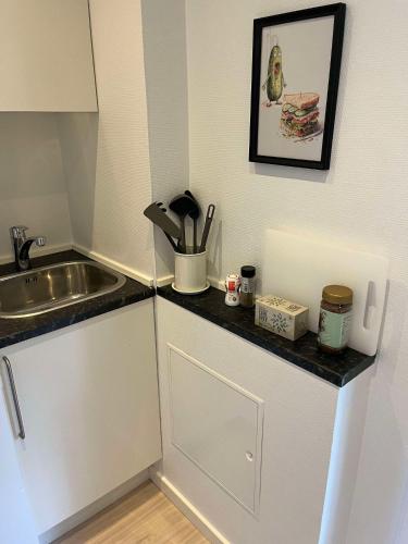 a kitchen with a sink and a counter top at Billund mini hostel room 8 - close to LEGO HOUSE and LEGOLAND in Billund