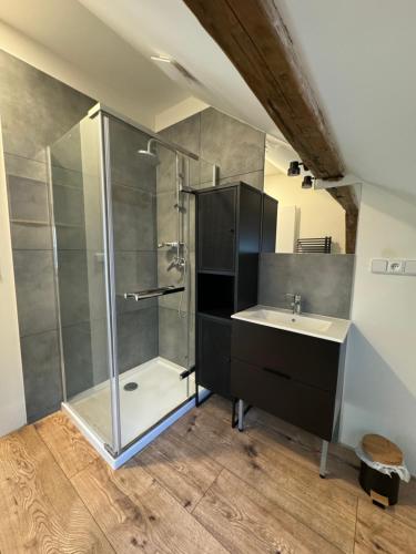 a bathroom with a shower and a sink at Tkalcovna U Zlatého potoka in Dobřany