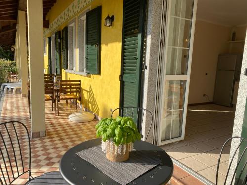 a table with a potted plant on top of it on a patio at Casa Elena in Crone