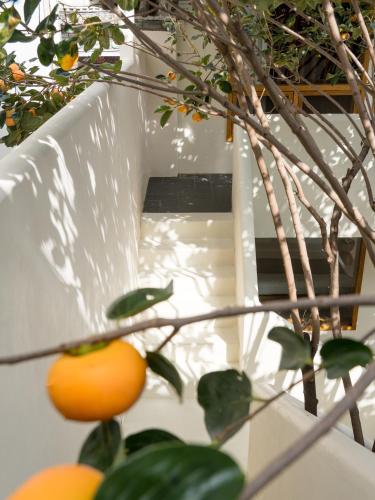 Fotografie z fotogalerie ubytování Shijing Hotel in Dali-大理柿井美宿 v destinaci Ta-li