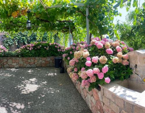 Zahrada ubytování Mali apartman