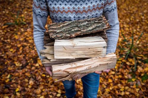 a woman is holding a stack of wood at Paulus aan de bos met hot tub in Epe