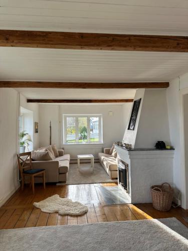 a living room with a couch and a fireplace at Strandnära hus Abbekås in Abbekås