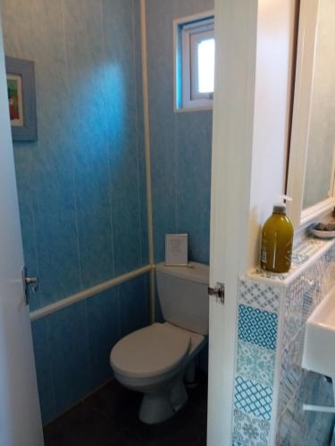 a bathroom with a toilet and a sink at La Jolie Petite Maison for groups 1-5 in Fontenermont