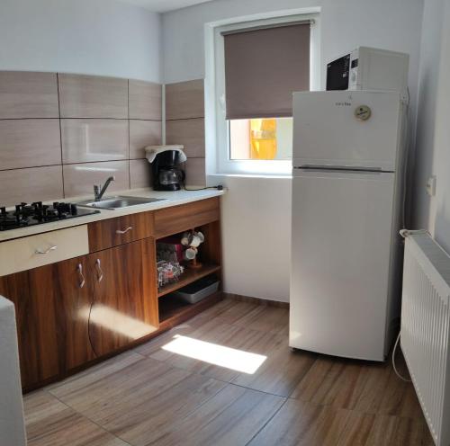 a kitchen with a white refrigerator and a sink at Casa Discret Moieciu in Moieciu de Jos