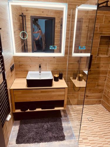 a bathroom with a sink and a mirror and a shower at Lieblingsnest in Schwerin