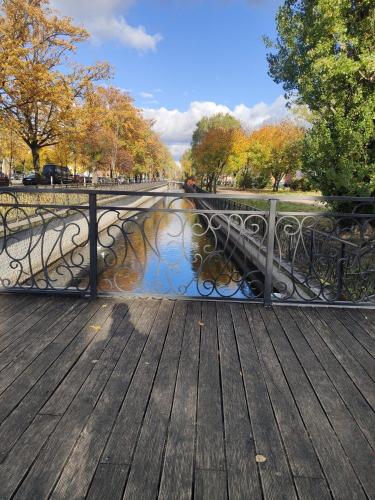 a wooden boardwalk with a metal railing and a pond at Pokoje nad Radunią in Pruszcz Gdański