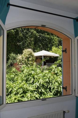 une fenêtre ouverte avec vue sur le jardin dans l'établissement Villa Escarpolette, à Mandelieu-la-Napoule
