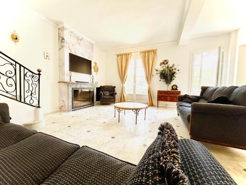 a living room with a couch and a fireplace at Maison de maître dans la nature in Bessan