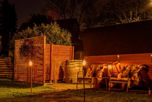 three dogs sitting in chairs in a yard at night at Charming Loft Ferienwohnung Bodensee in Meckenbeuren