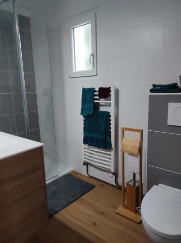 La salle de bains est pourvue d'une douche et de toilettes avec des serviettes bleues. dans l'établissement Coté mer, au Croisic