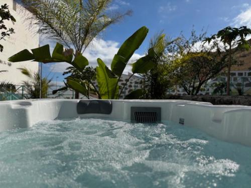 a jacuzzi tub with water and plants in it at Hacienda de las Indias, Camagüey in Granadilla de Abona
