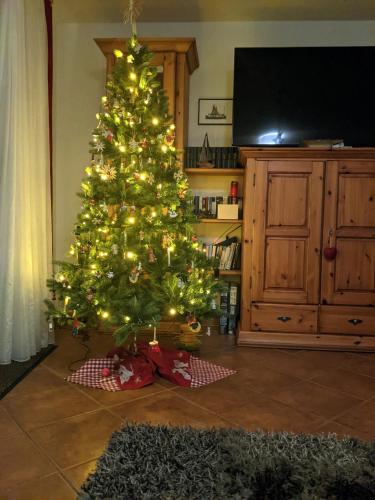 a christmas tree in a living room next to a tv at Drei-Insel-Blick Neßmersiel in Neßmersiel