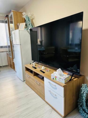 a living room with a large flat screen tv at Carla Maria S Hause in Gammertingen