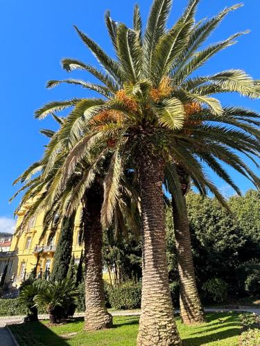 Apartman ELLA Opatija