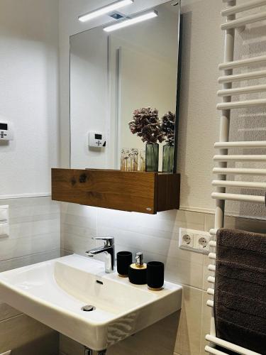 a bathroom with a sink and a mirror at Appartment Haus Einbergblick in Abtenau