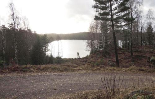 a dirt road next to a lake with a tree at 1 Bedroom Stunning Home In Fegen in Fegen