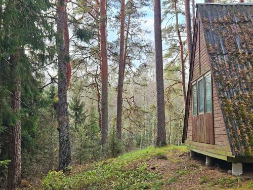 a small house sitting on a hill in the woods at Tartumaa Tervisespordikeskus in Uderna