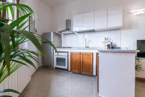 a kitchen with white appliances and a potted plant at un passo dalla torre in Pisa
