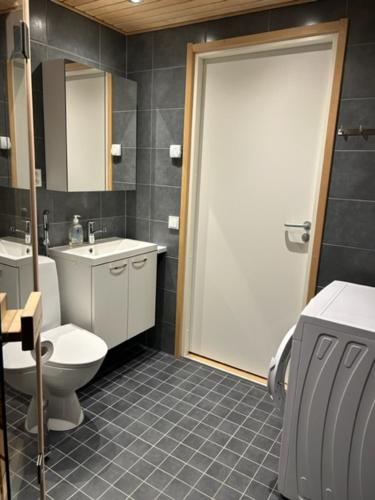 a bathroom with a toilet and a sink and a shower at Arctic Hill Apartment Ylläs in Ylläs