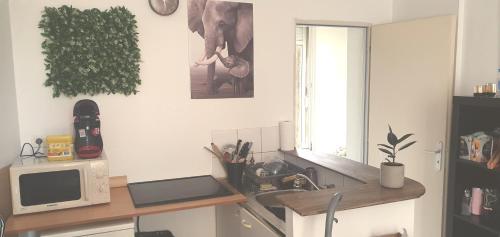 une cuisine avec un évier et un micro-ondes dans l'établissement Studio cosy Bassens 33530, à Bassens