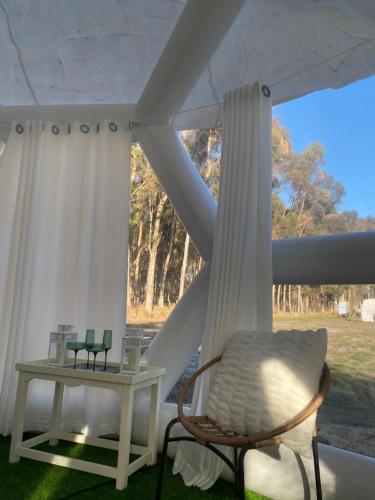 Fotografie z fotogalerie ubytování Coonawarra Hampton Bubble 4 v destinaci Comaum